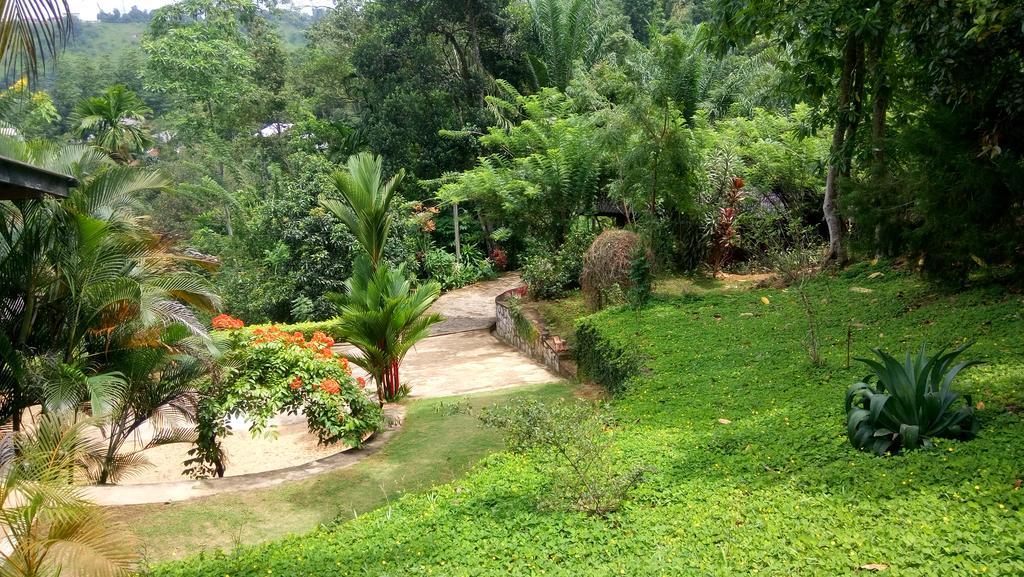 Tea Leaf Retreat Lägenhet Kandy Exteriör bild