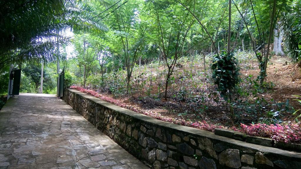 Tea Leaf Retreat Lägenhet Kandy Exteriör bild
